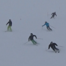 Powder in Saas Fee. And Verbier. And a dog that’s as happy as we are.