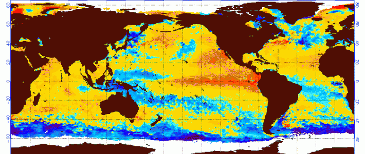 El Niño – everyone’s talking about it. But what exactly is it?