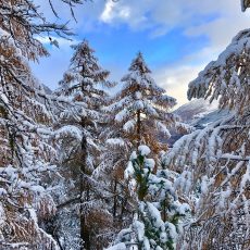 Snow in Verbier – and there’s more to come