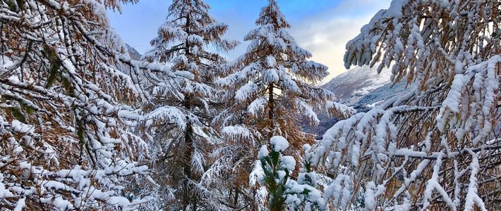 Snow in Verbier – and there’s more to come