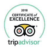 trip advisor reviews